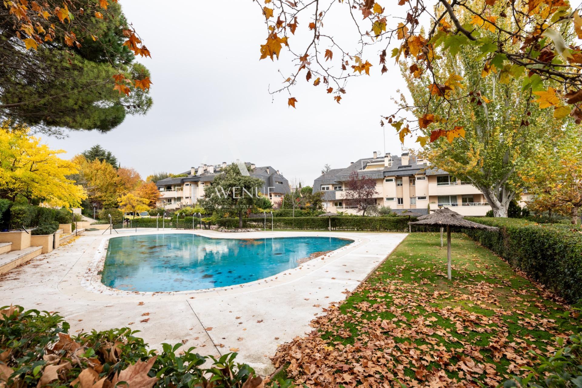 VPV611425 - Plantas bajas en Madrid Plantas bajas en Madrid, Madrid