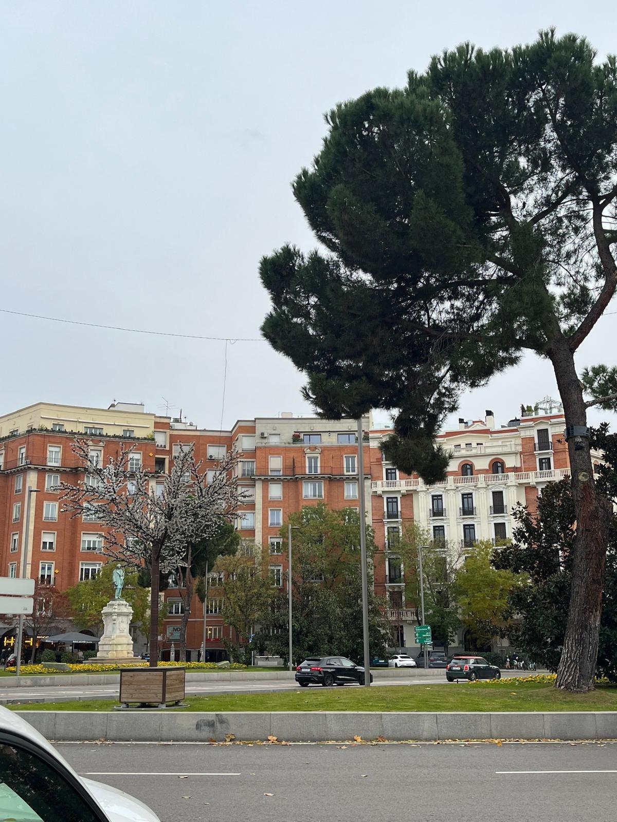 VPF542425 - Pisos de lujo en Madrid Pisos de lujo en Madrid, Madrid