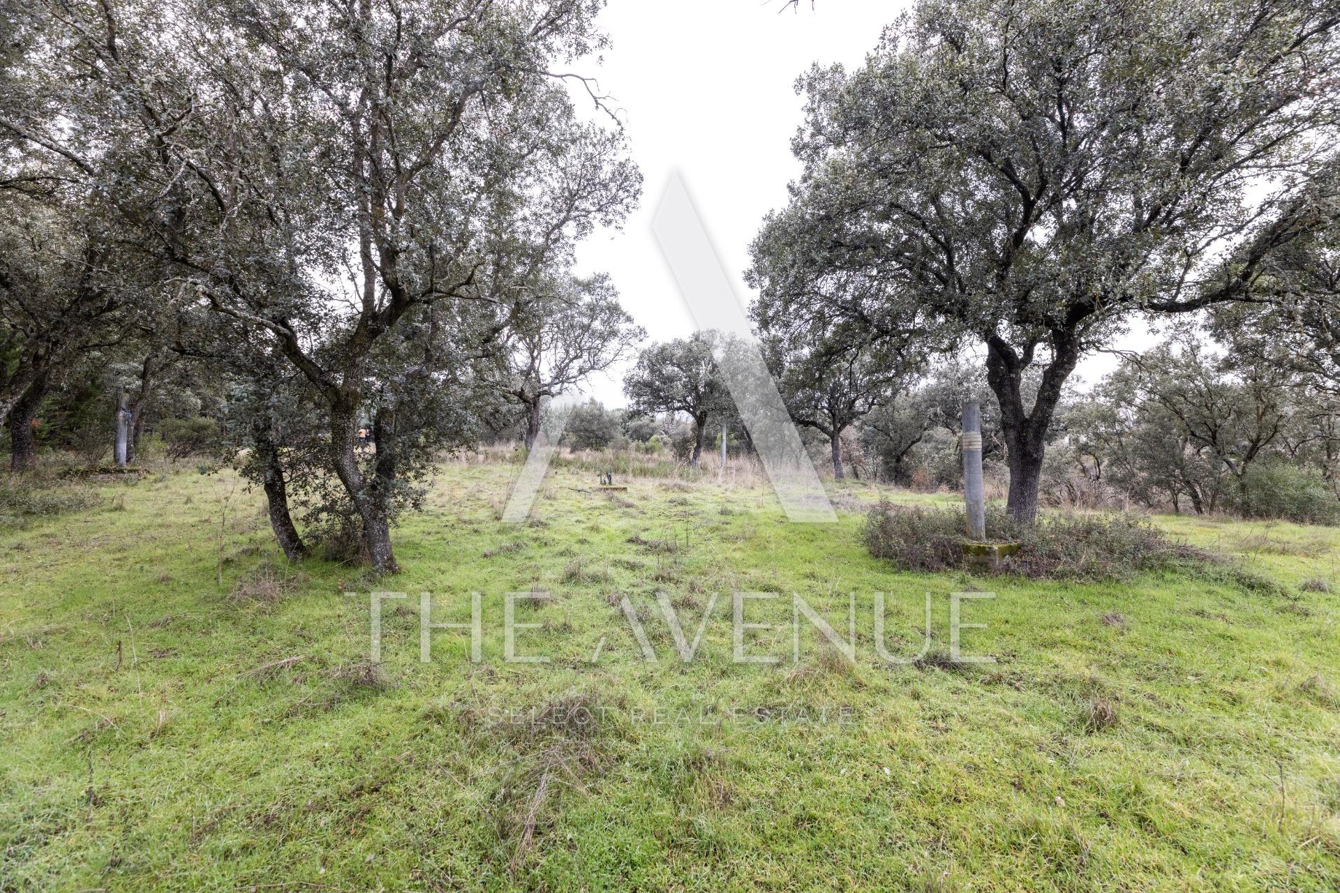 VSB219425 - Parcelas de lujo en Villanueva de la Cañada Parcelas de lujo en Villanueva de la Cañada, Madrid