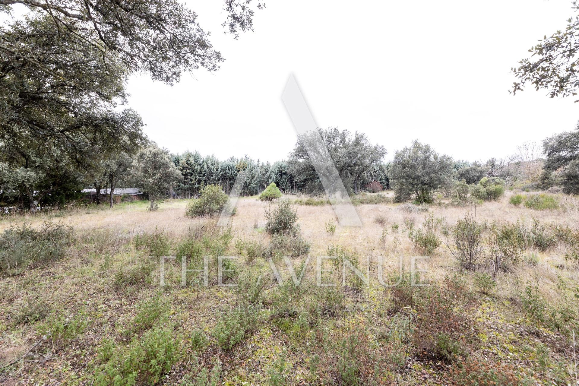 VSB219425 - Parcelas de lujo en Villanueva de la Cañada Parcelas de lujo en Villanueva de la Cañada, Madrid